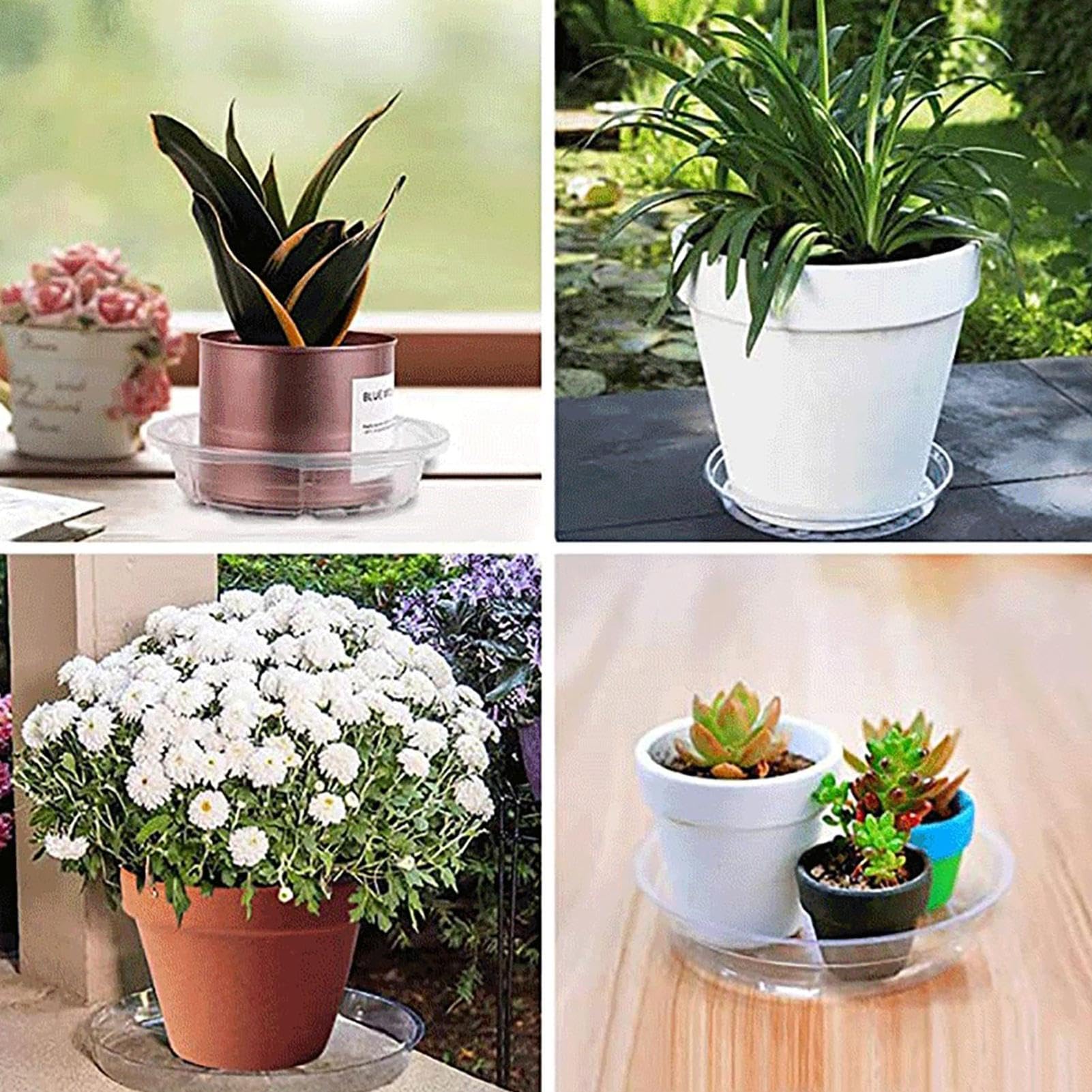 Amazon.co.jp: 植木鉢トレイ、鉢植えトレイ 透明な植木鉢トレイ | 屋内